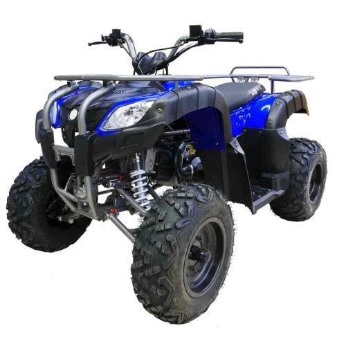 Квадроцикл MOTAX ATV Grizlik 200
