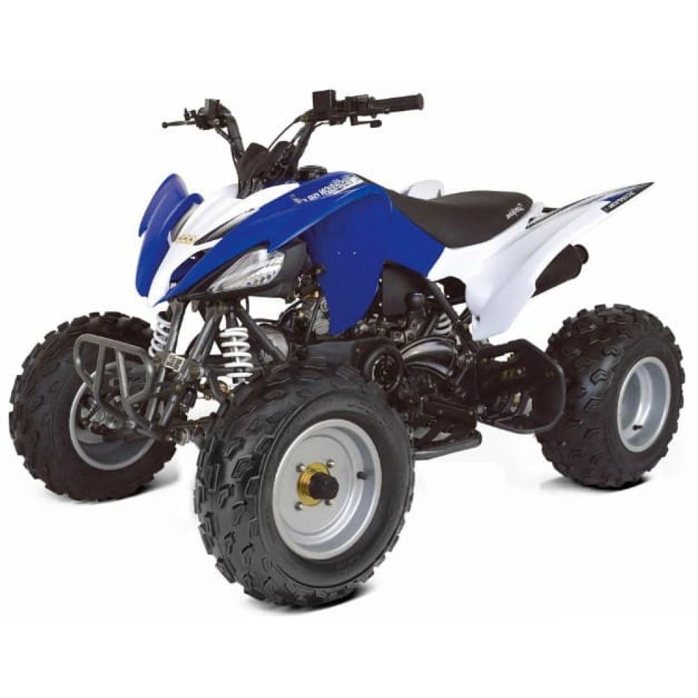 Квадроцикл ABM Scorpion 250