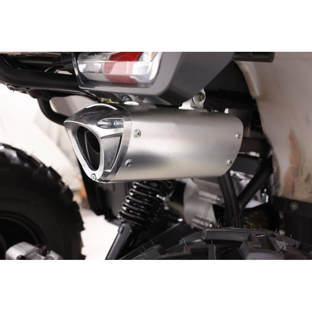 Квадроцикл SHARK III 250