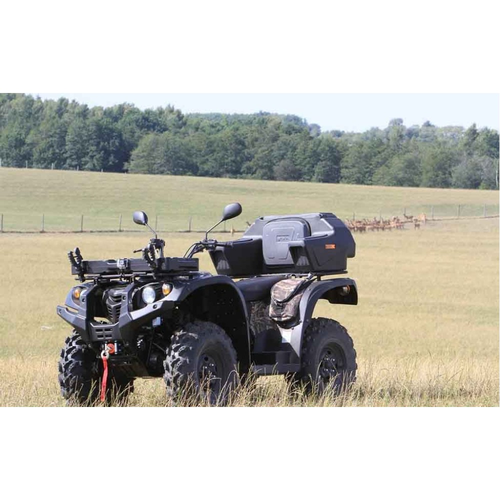 Квадроцикл BALTMOTORS Striker 700 EFI (ПСМ)