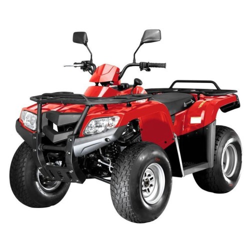 Квадроцикл ARMADA ATV 200L