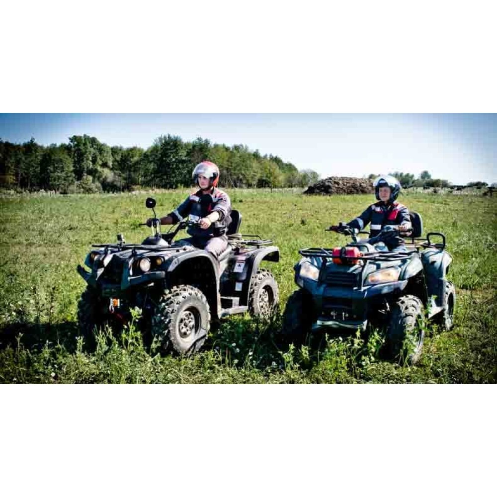 Квадроцикл BALTMOTORS Striker 700 EFI (ПСМ)