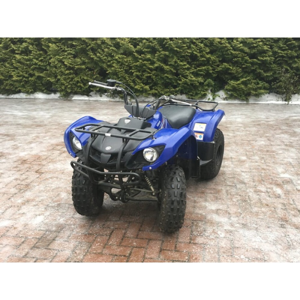 Квадроцикл GRIZZLY 125