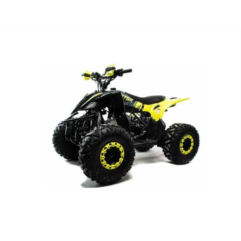 Квадроцикл MOTOLAND ATV RAPTOR A 125
