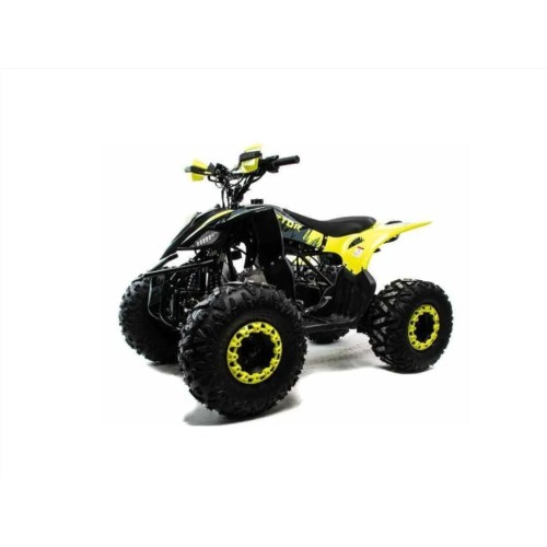 Квадроцикл MOTOLAND ATV RAPTOR A 125