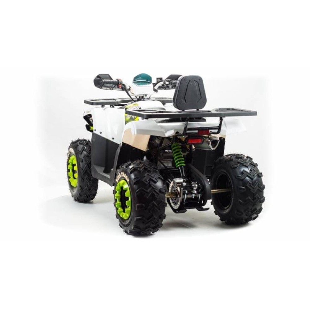 Квадроцикл MOTOLAND 200 Wild Track Lux ( Баланс. вал) (2021 Г.)