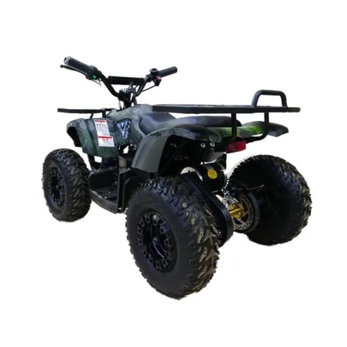 Электроквадроцикл MOTAX Grizlik X16 New E1000