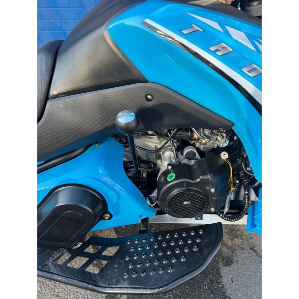 Снегоход WELS 250RS