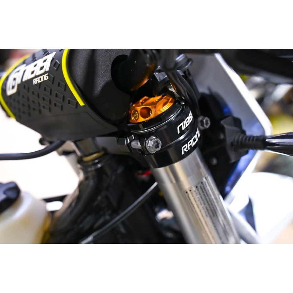 Мотоцикл кроссовый эндуро REGULMOTO Nibbi 300