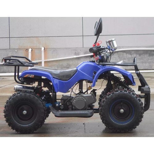 Квадроцикл RAPTOR MAX PRO 49cc (2024)