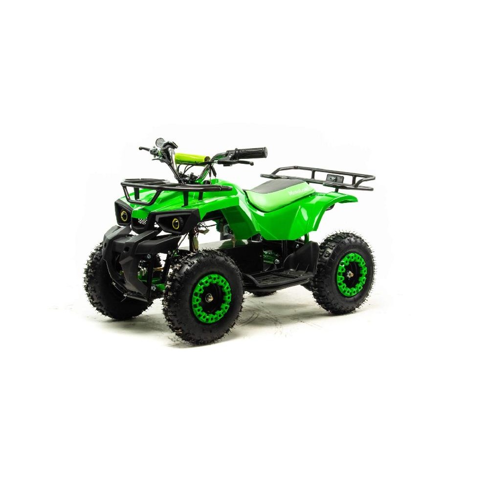 Электроквадроцикл MOTOLAND ATV E009 1000W