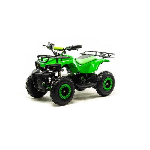 Электроквадроцикл MOTOLAND ATV E009 1000W