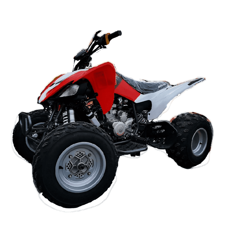 Квадроцикл MOTOLAND 250S Pro