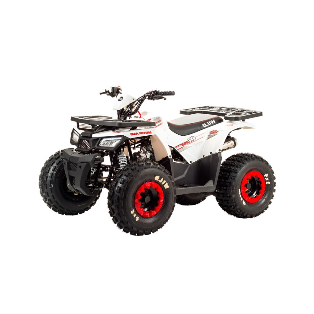 Квадроцикл MOTOLAND 125 Wild