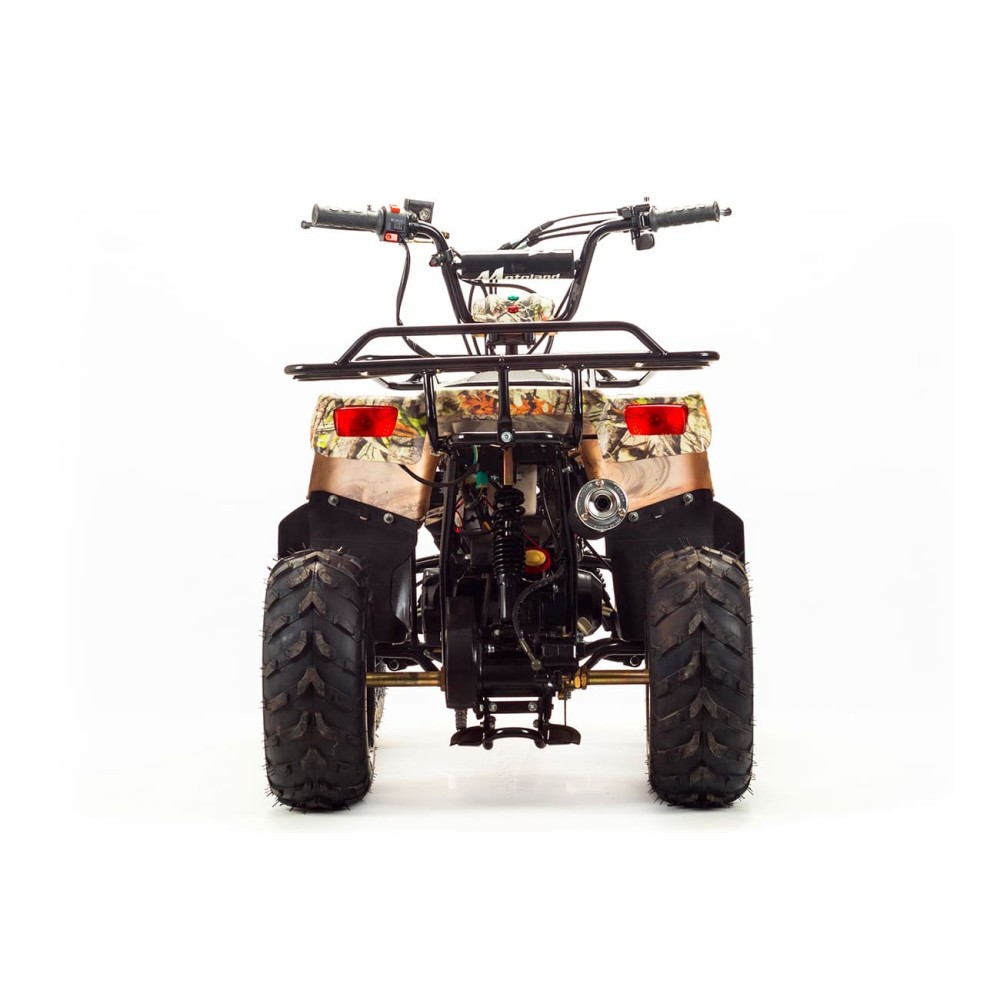 Квадроцикл MOTOLAND 110 Rider (2021 Г.)