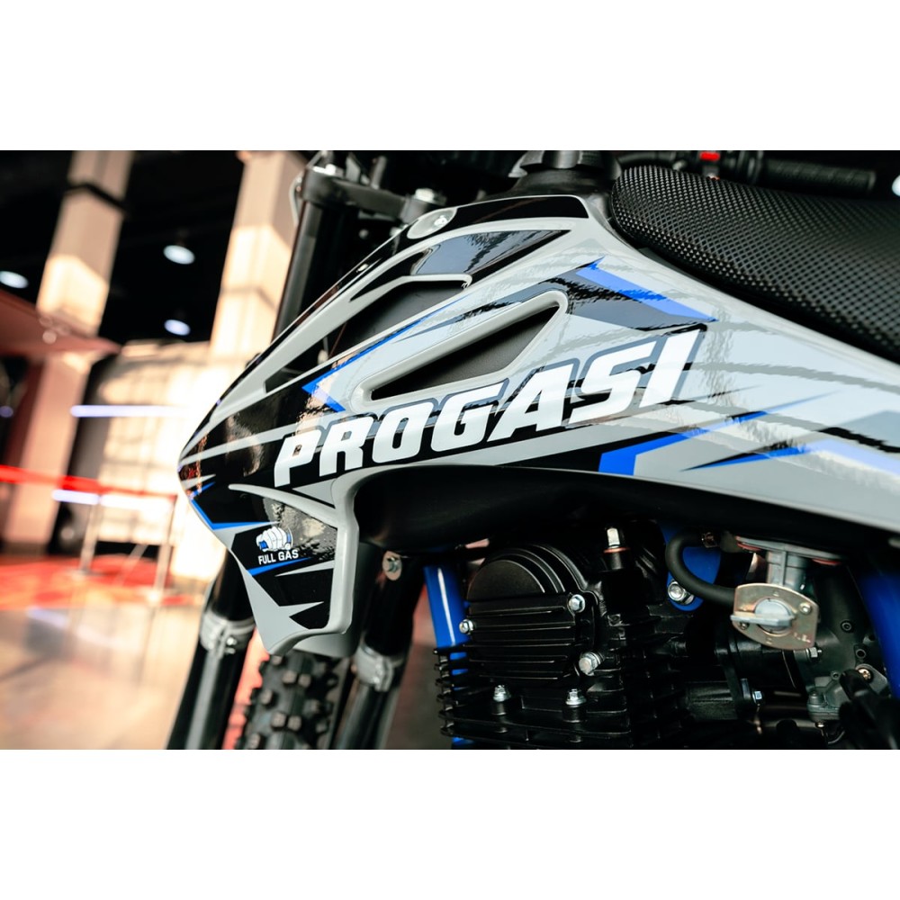 Мотоцикл кроссовый эндуро PROGASI Palma 300