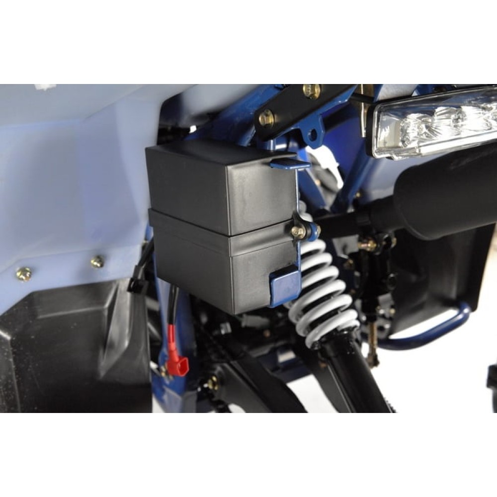 Квадроцикл WELS Thunder EVO