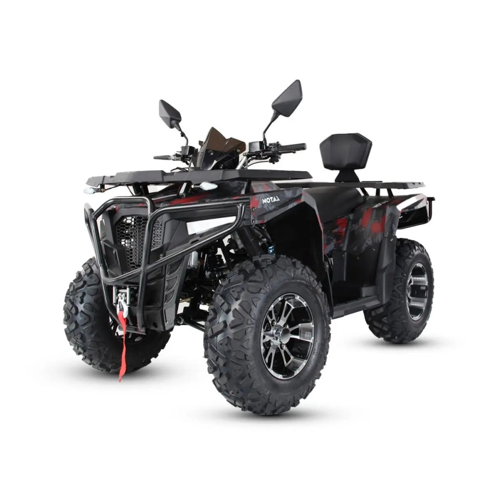 Квадроцикл MOTAX Grizlik 300