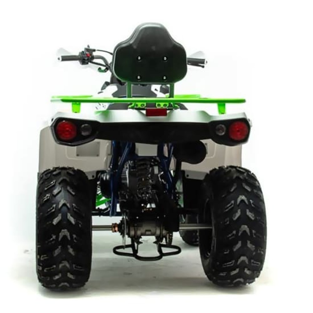 Квадроцикл MOTOLAND 200 Shark (2021 Г.)