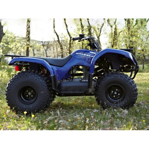 Квадроцикл GRIZZLY 125