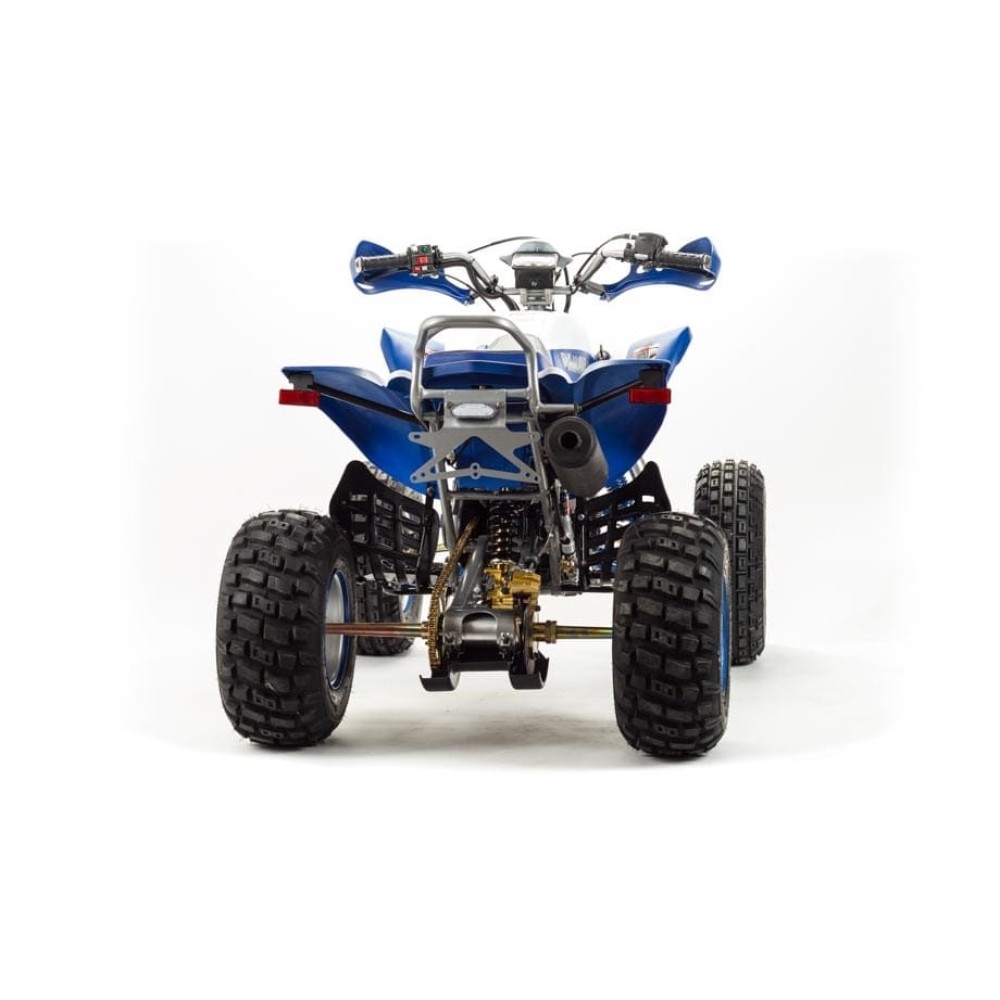 Квадроцикл MOTOLAND 250 Dakar