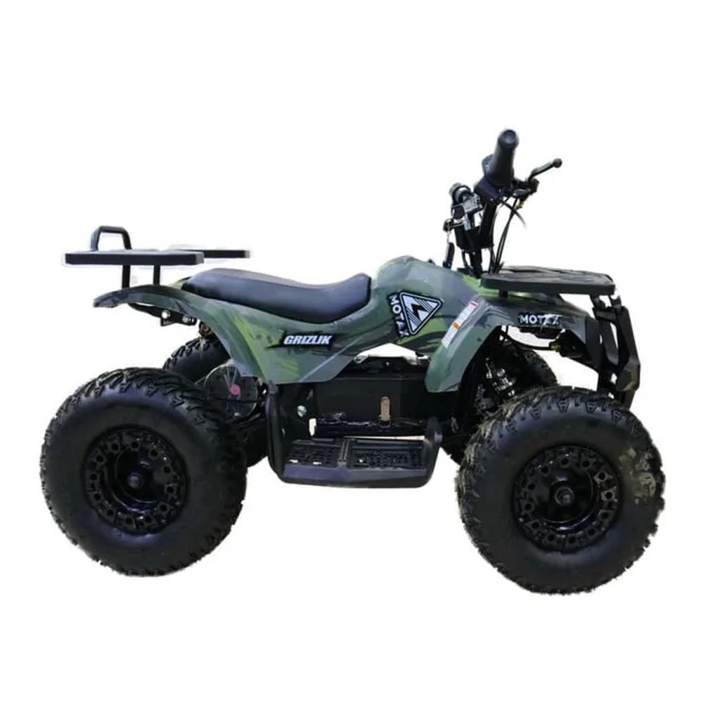 Электроквадроцикл MOTAX Grizlik X16 New E1000