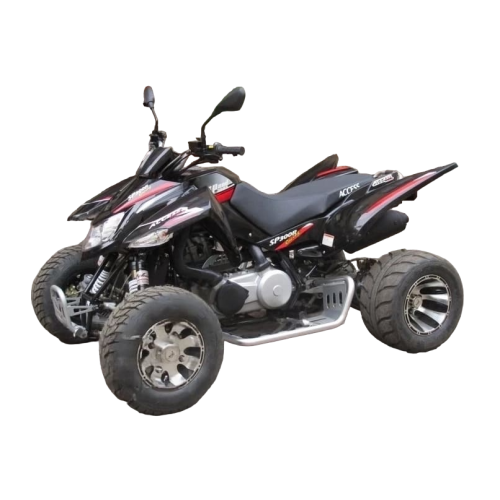 Квадроцикл ACCESS SP 300 SM