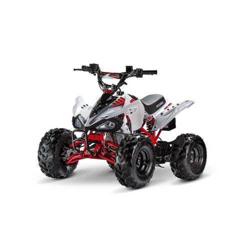Квадроцикл ACCESS AMS 110 MiniSport