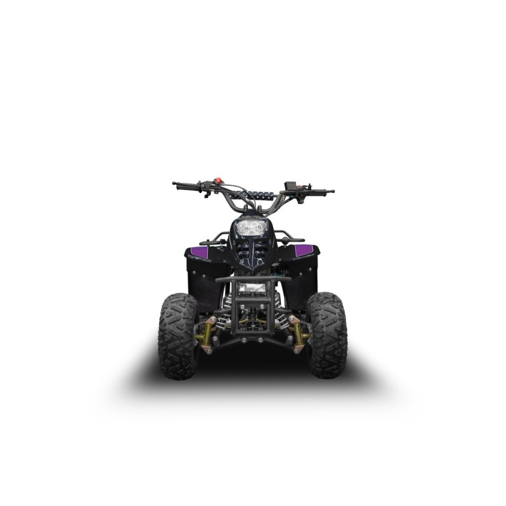 Квадроцикл RAPTOR 150 Universal