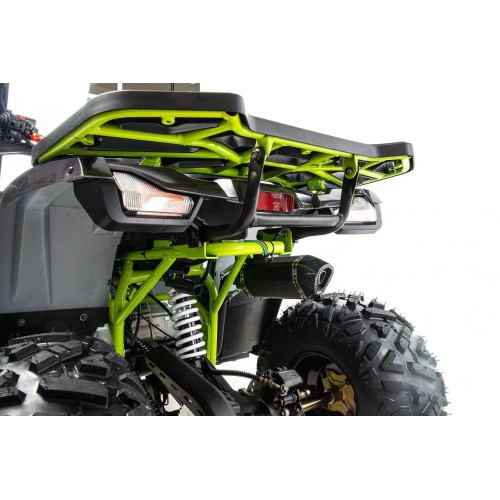 Квадроцикл MOTOLAND Wild X Баланс. вал. (2021 Г.)