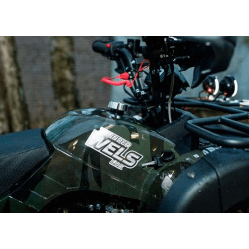 Квадроцикл Wels Thunder 200 Lux Б/У