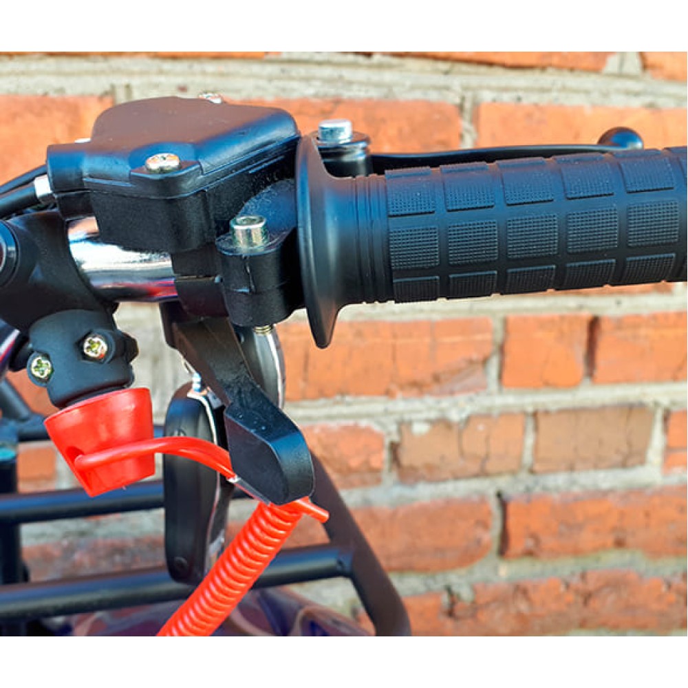 Квадроцикл MOWGLI X16