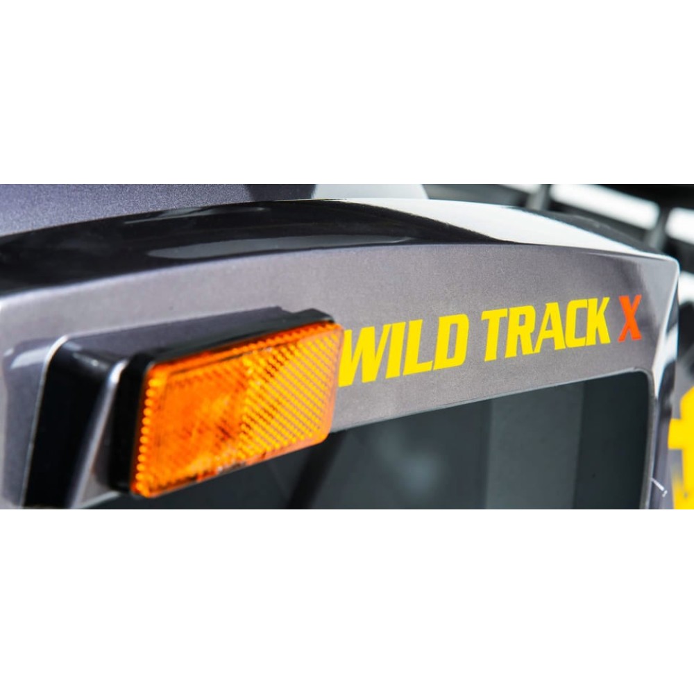 Квадроцикл MOTOLAND 200 Wild Track X Pro (2022)
