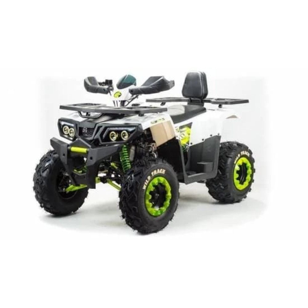 Квадроцикл MOTOLAND 200 Wild Track Lux ( Баланс. вал) (2021 Г.)