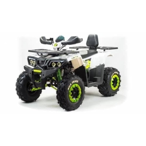 Квадроцикл MOTOLAND 200 Wild Track Lux ( Баланс. вал) (2021 Г.)