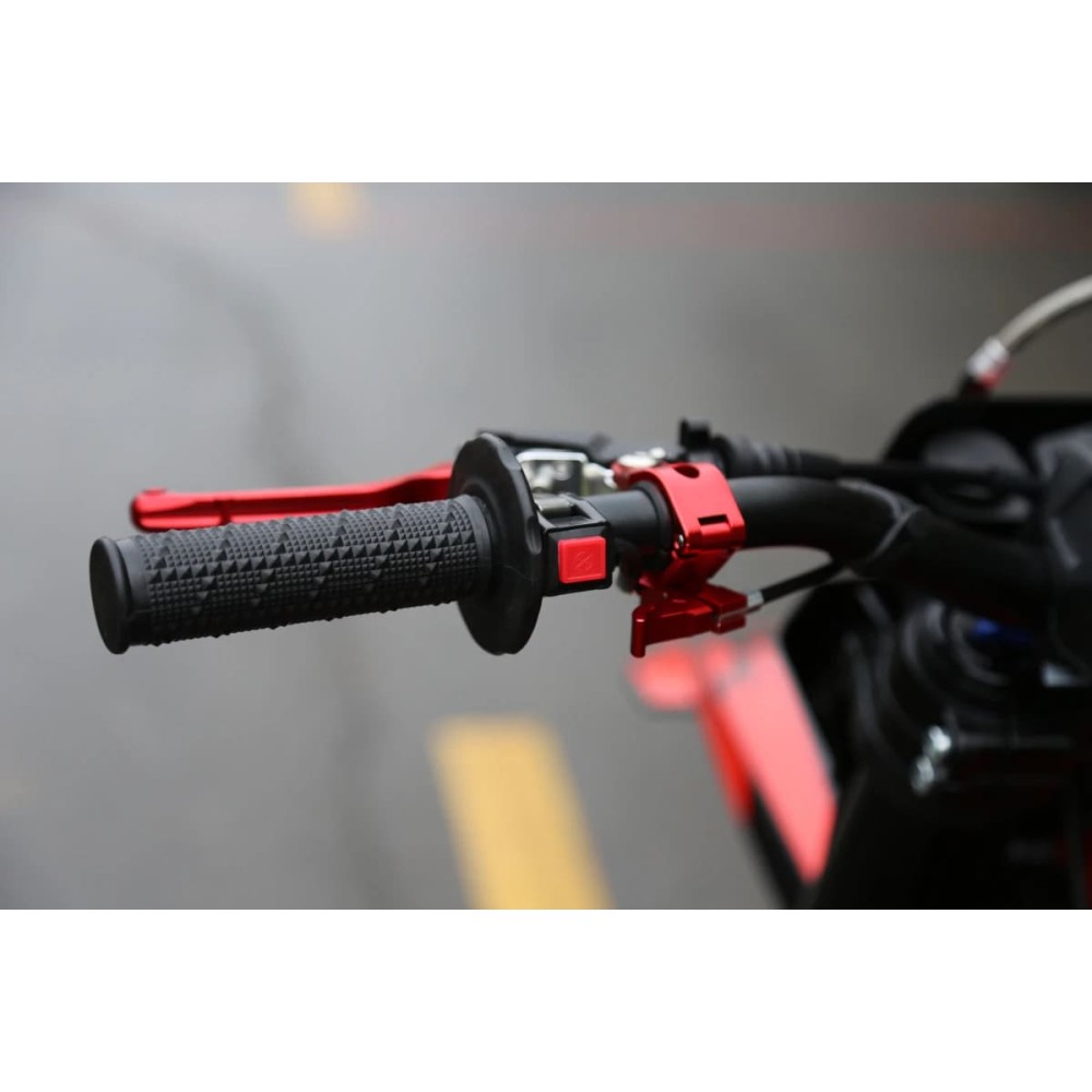 Мотоцикл кроссовый эндуро PROCIDA 2020 PR300