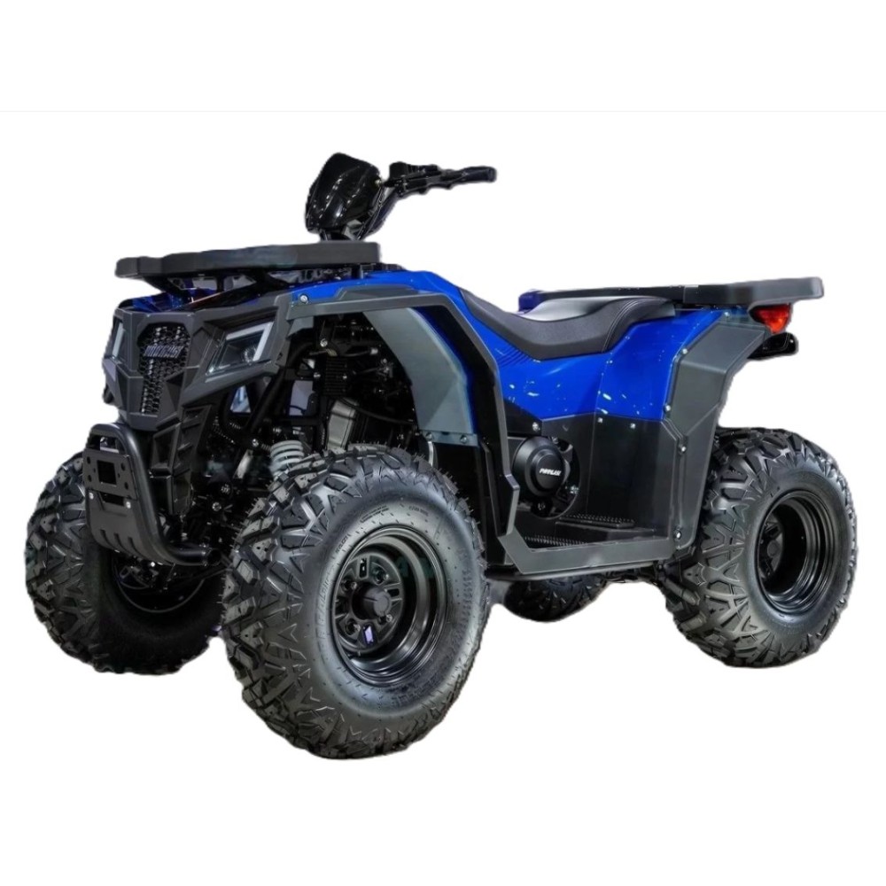 Квадроцикл PROGASI Race Jumper 200 SE