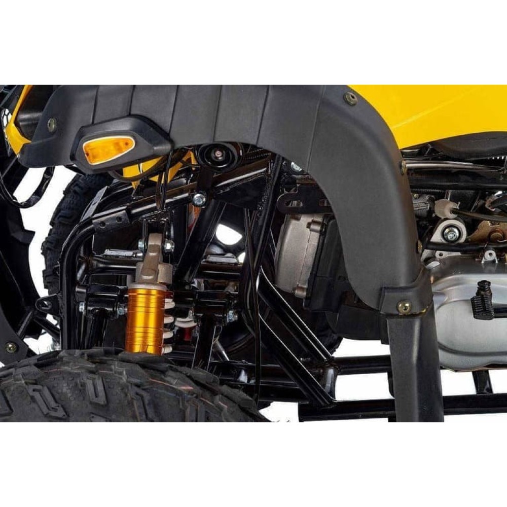 Квадроцикл RAPTOR Max Pro 250 (жёлтый/чёрный) (2024)