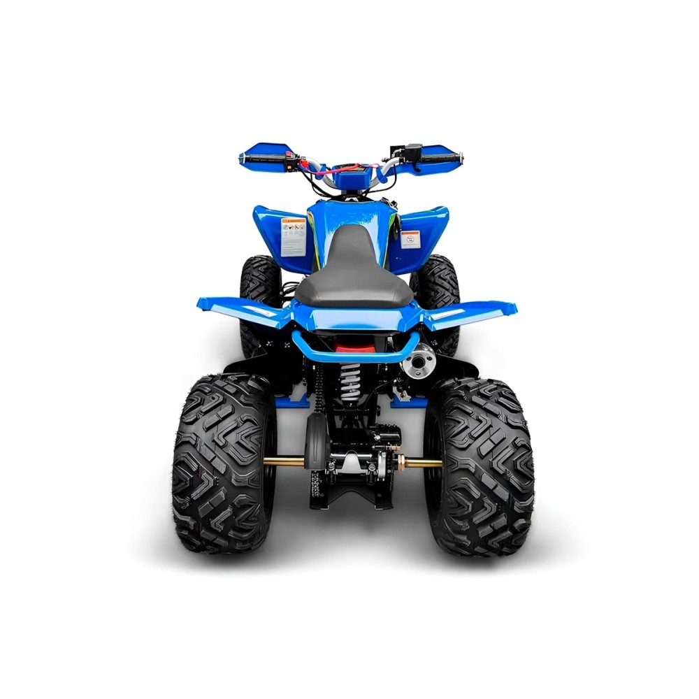 Квадроцикл RACER Typhoon 250