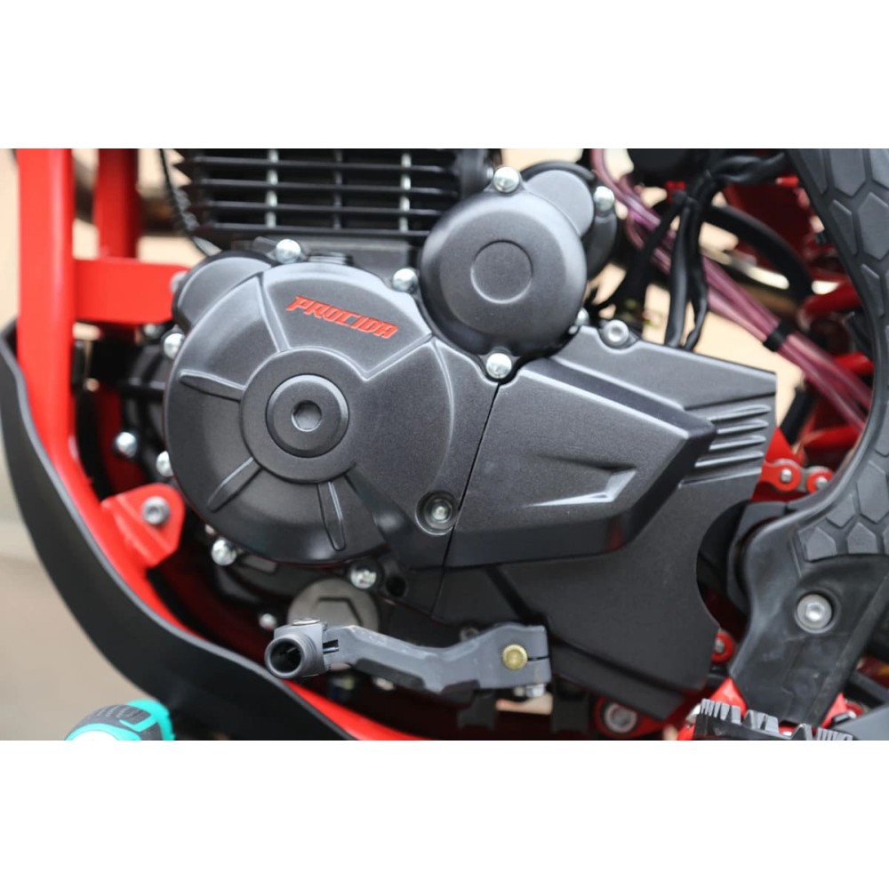 Мотоцикл кроссовый эндуро PROCIDA 2020 PR300