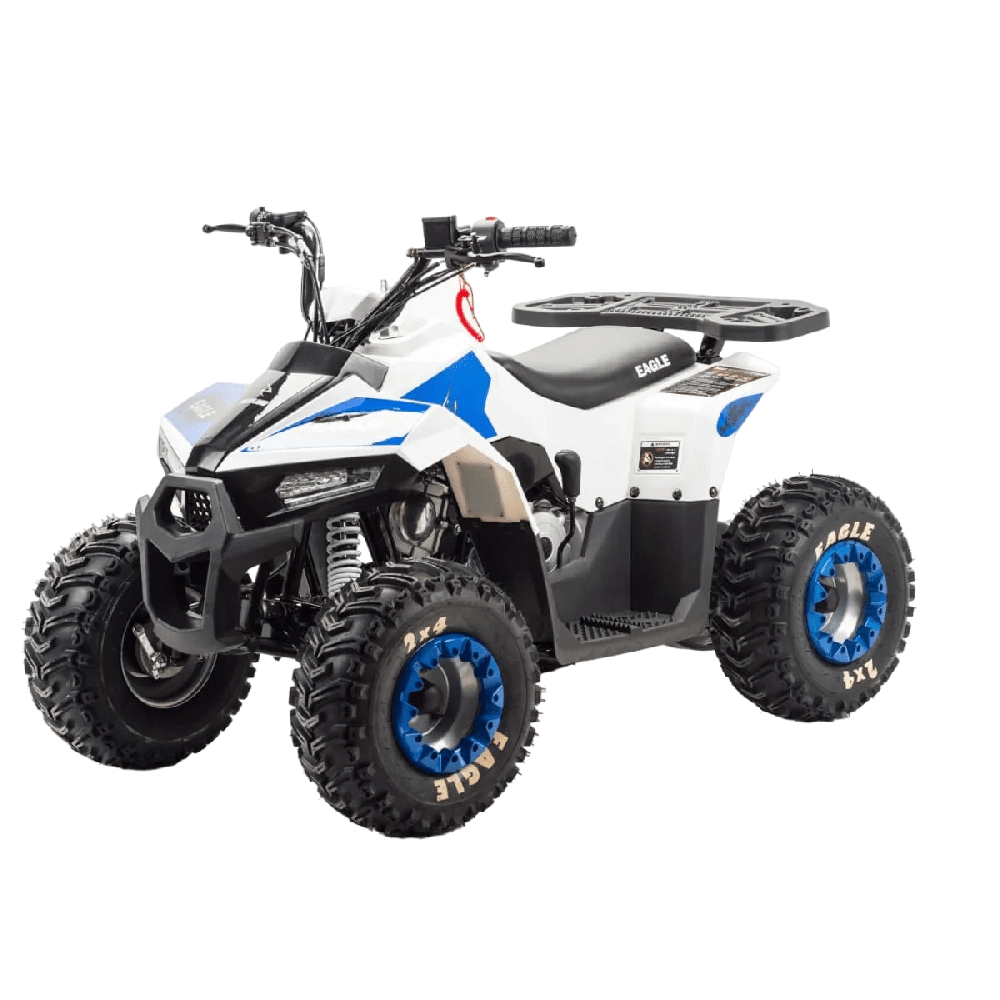 Квадроцикл MOTOLAND 110 Eagle (2021 Г.)