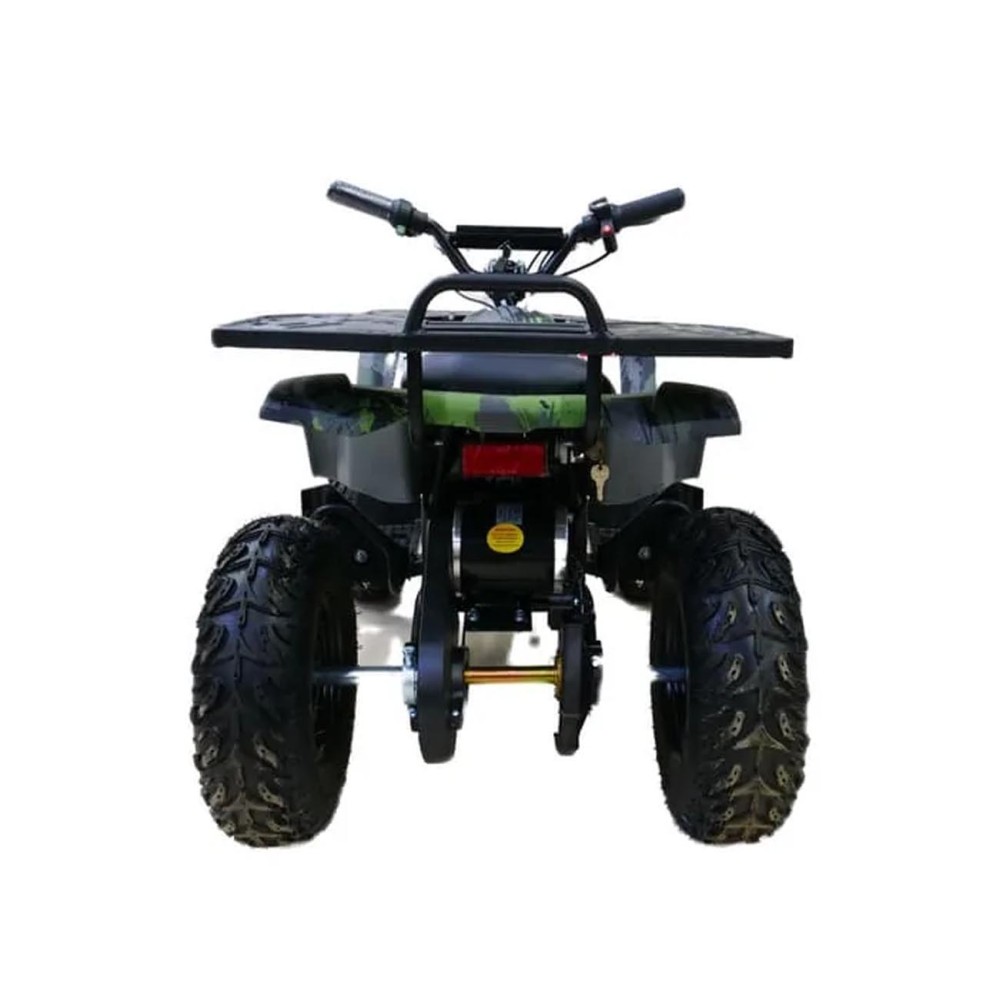 Электроквадроцикл MOTAX Grizlik X16 New E1000