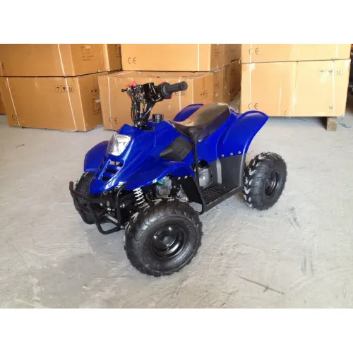 Квадроцикл RAPTOR 110