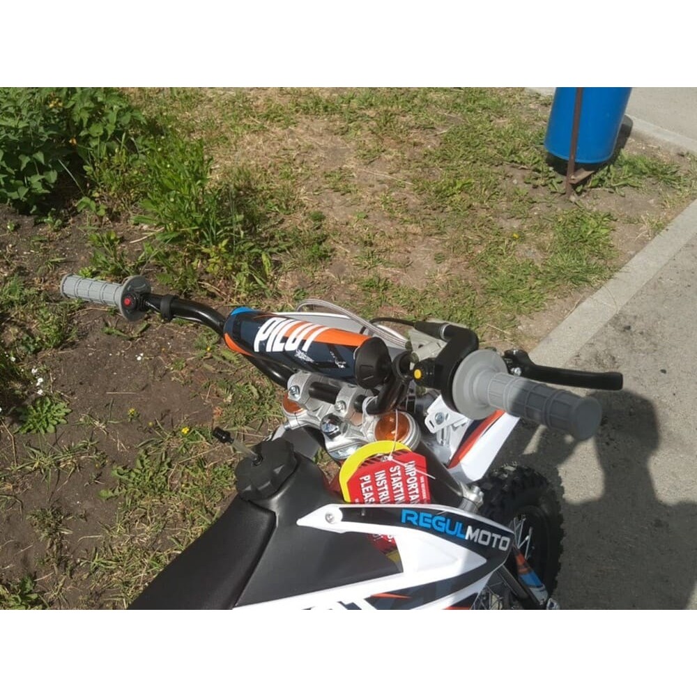 Мотоцикл REGULMOTO Pilot 110EA 14/12 PITBIKE