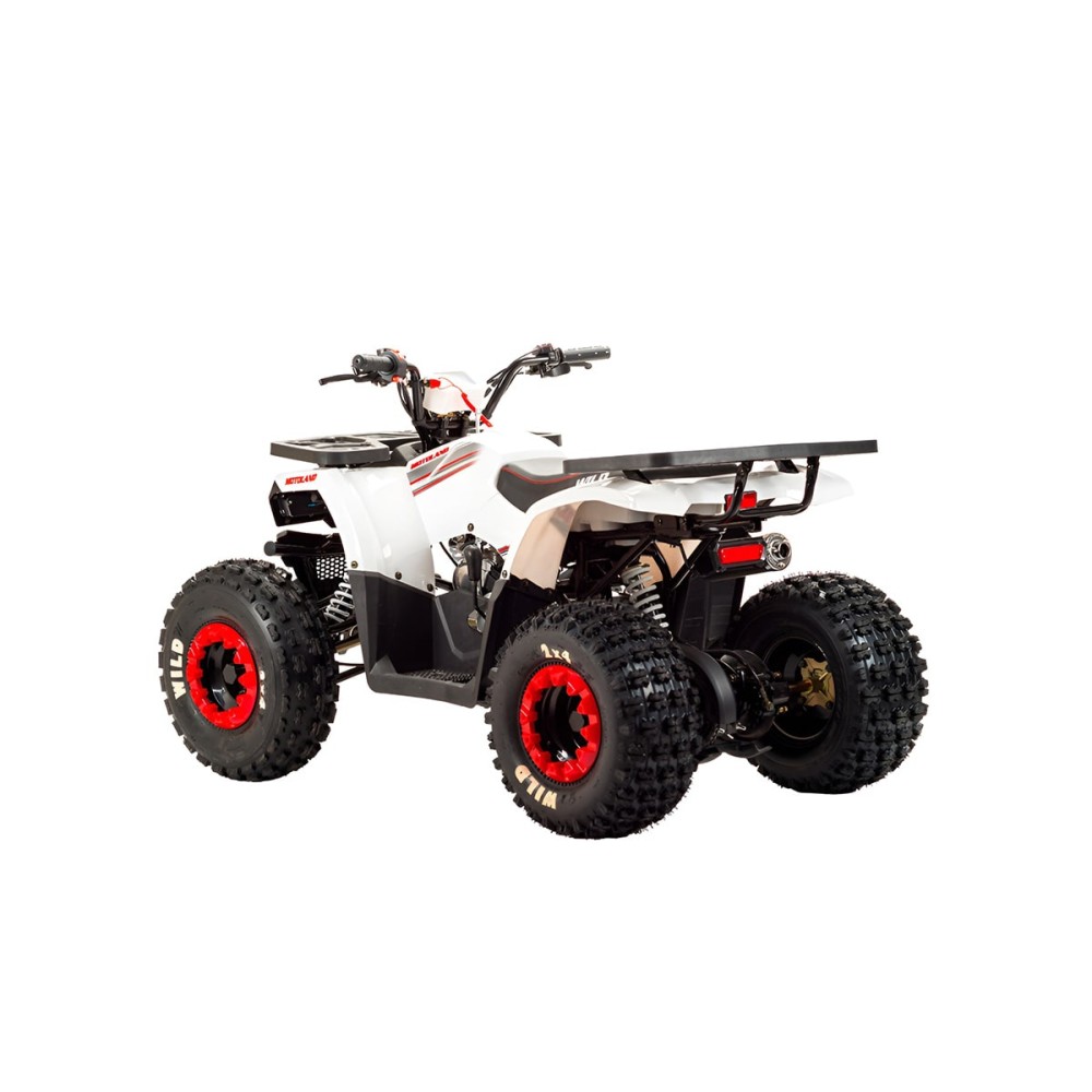 Квадроцикл MOTOLAND 125 Wild