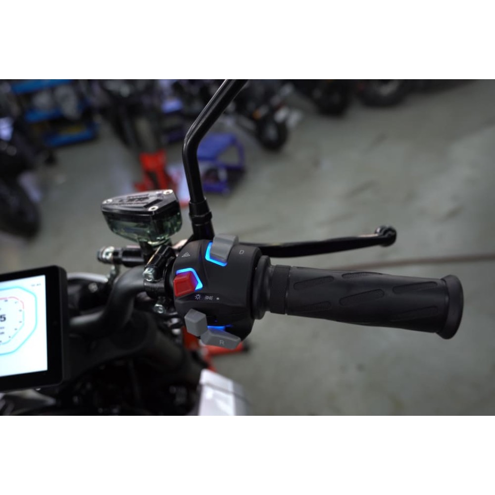 Электромотоцикл SENKE SK8000D