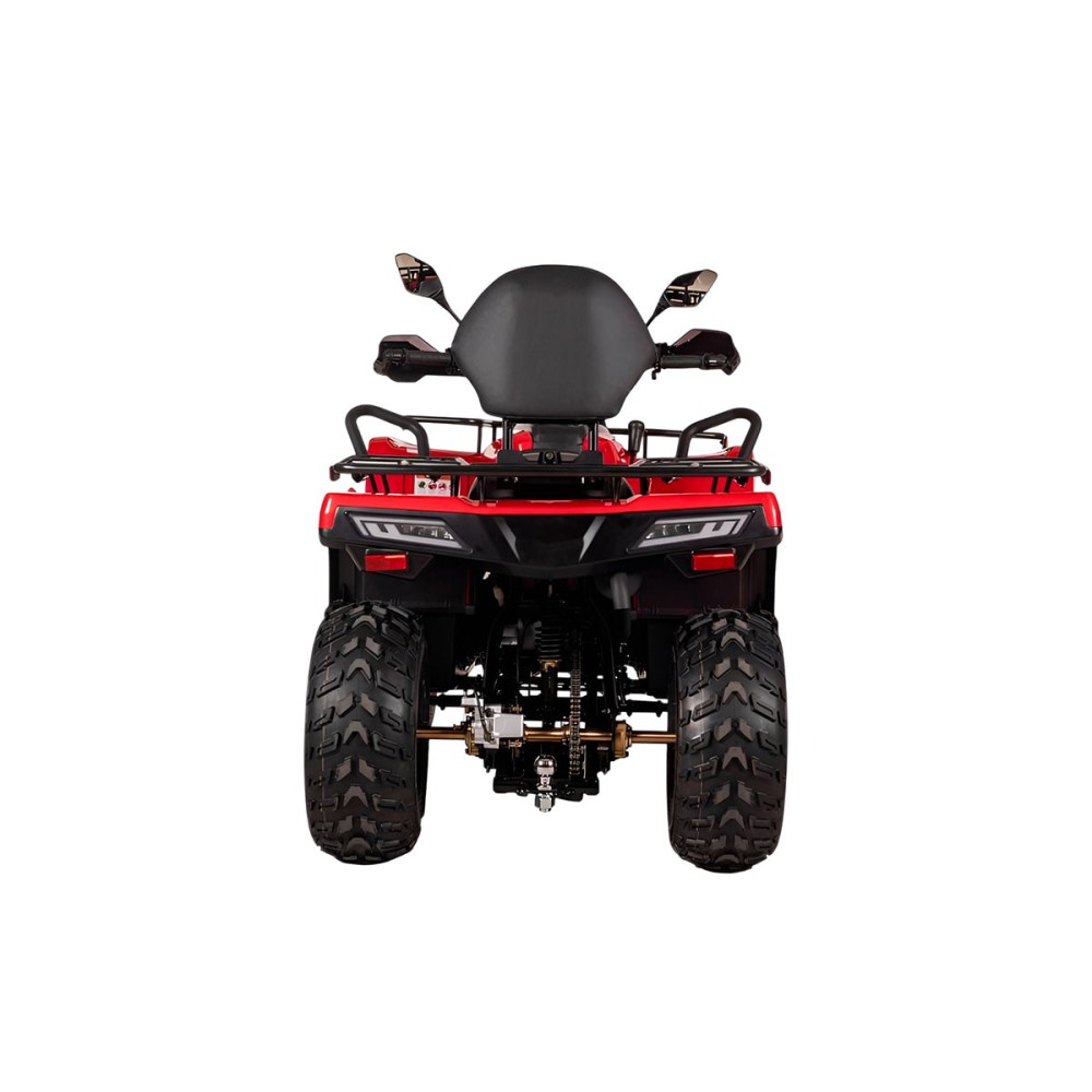 Квадроцикл BIZON YK200 Basic Carb