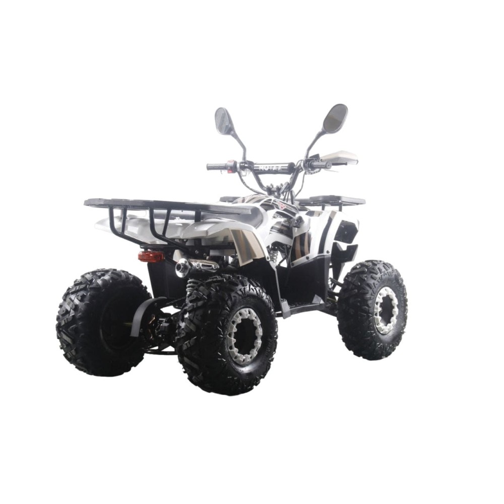 Квадроцикл MOTAX ATV Grizlik Premium 125cc