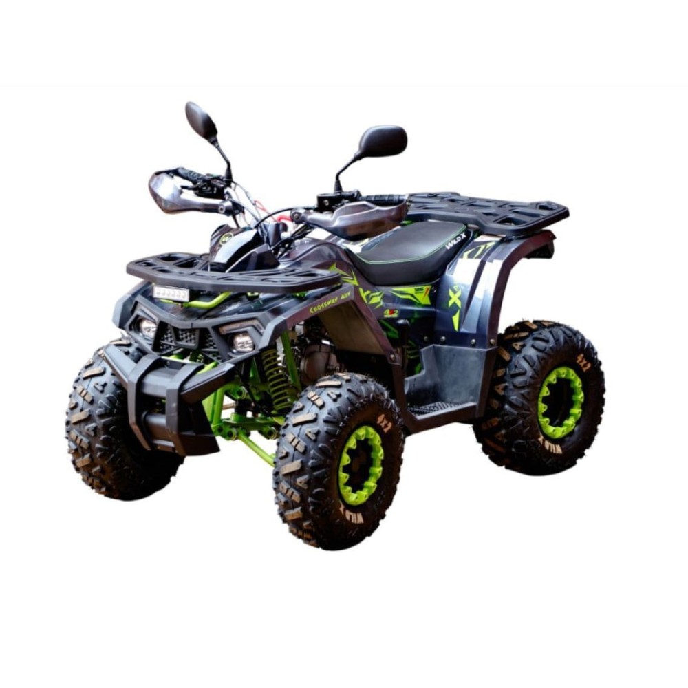 Квадроцикл MOTOLAND 125 Wild X Pro