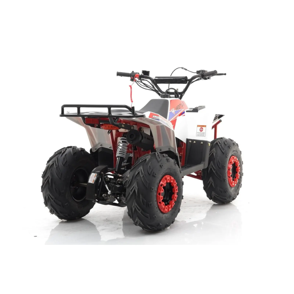 Квадроцикл MOTAX Grizlik A110